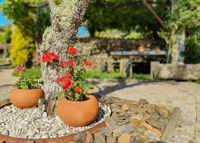 Casa Do Casal - With Swimming Pool Farm stay