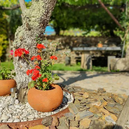 Casa Do Casal - With Swimming Pool Κατάλυμα σε φάρμα