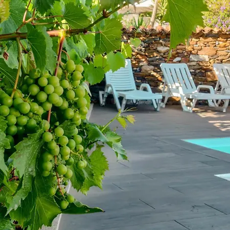 Casa Do Casal - With Swimming Pool Виана-ду-Каштелу